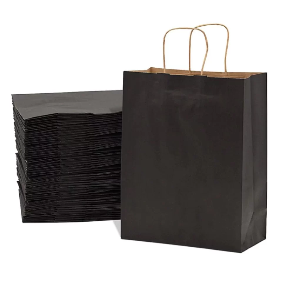Black Kraft Paper Bag With Twisted Rope Handle (Medium)