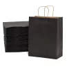Black Kraft Paper Bag With Twisted Rope Handle (Medium)