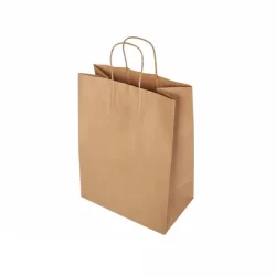 Brown Kraft Paper Bag With Twisted Rope Handle (Medium)