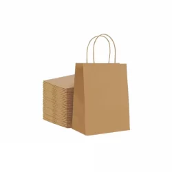 Brown Kraft Paper Bag With Twisted Rope Handle (Small)