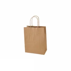 Brown Kraft Paper Bag With Twisted Rope Handle (Small)