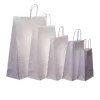 White Kraft Paper Bag With Twisted Rope Handle (Medium)