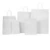 White Kraft Paper Bag With Twisted Rope Handle (Medium)