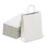 White Kraft Paper Bag With Twisted Rope Handle (Medium)
