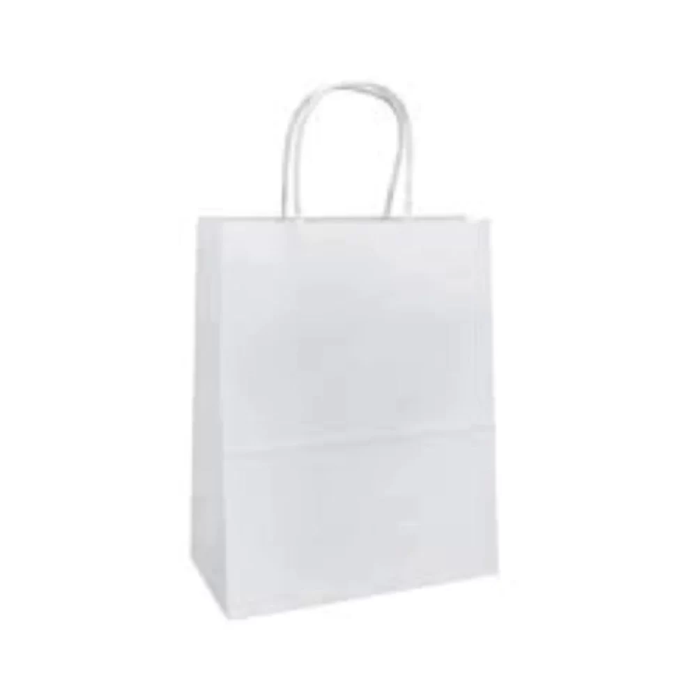 White Kraft Paper Bag With Twisted Rope Handle (Medium)