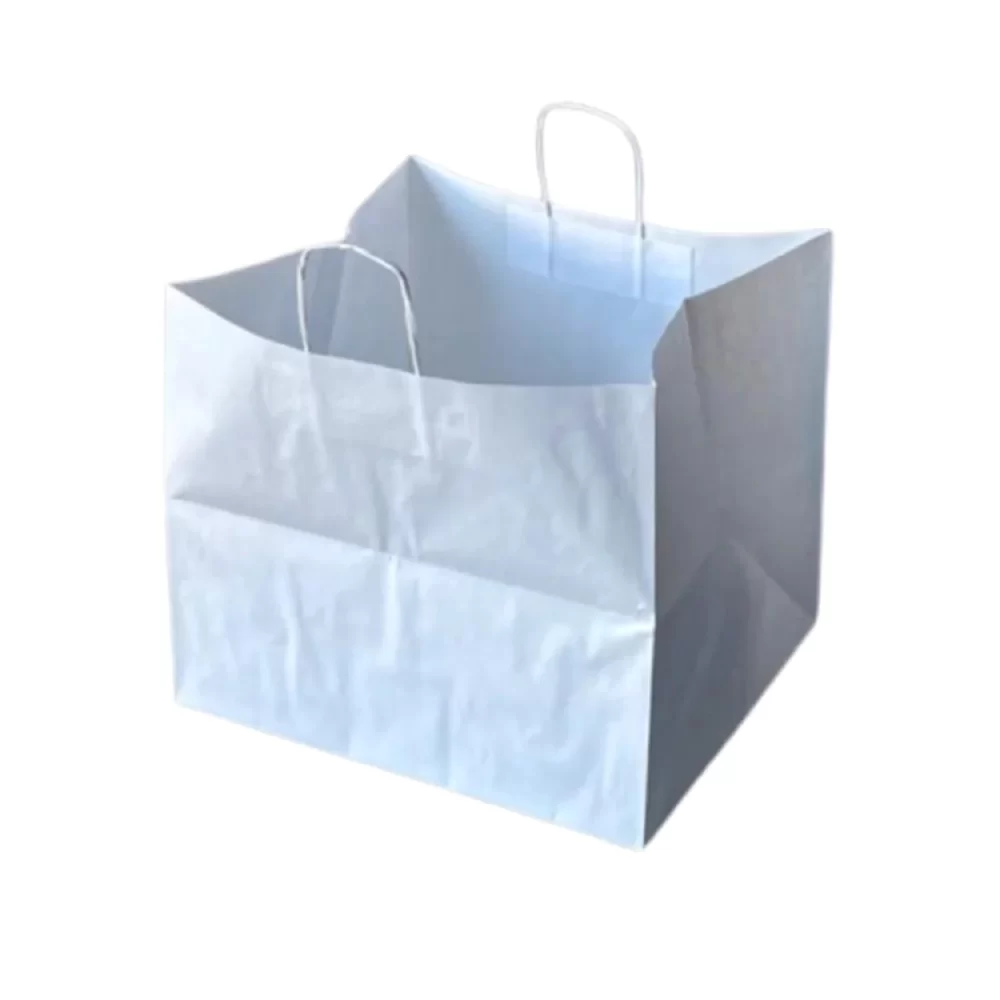 White Kraft Paper Bag With Twisted Rope Handle (Medium)