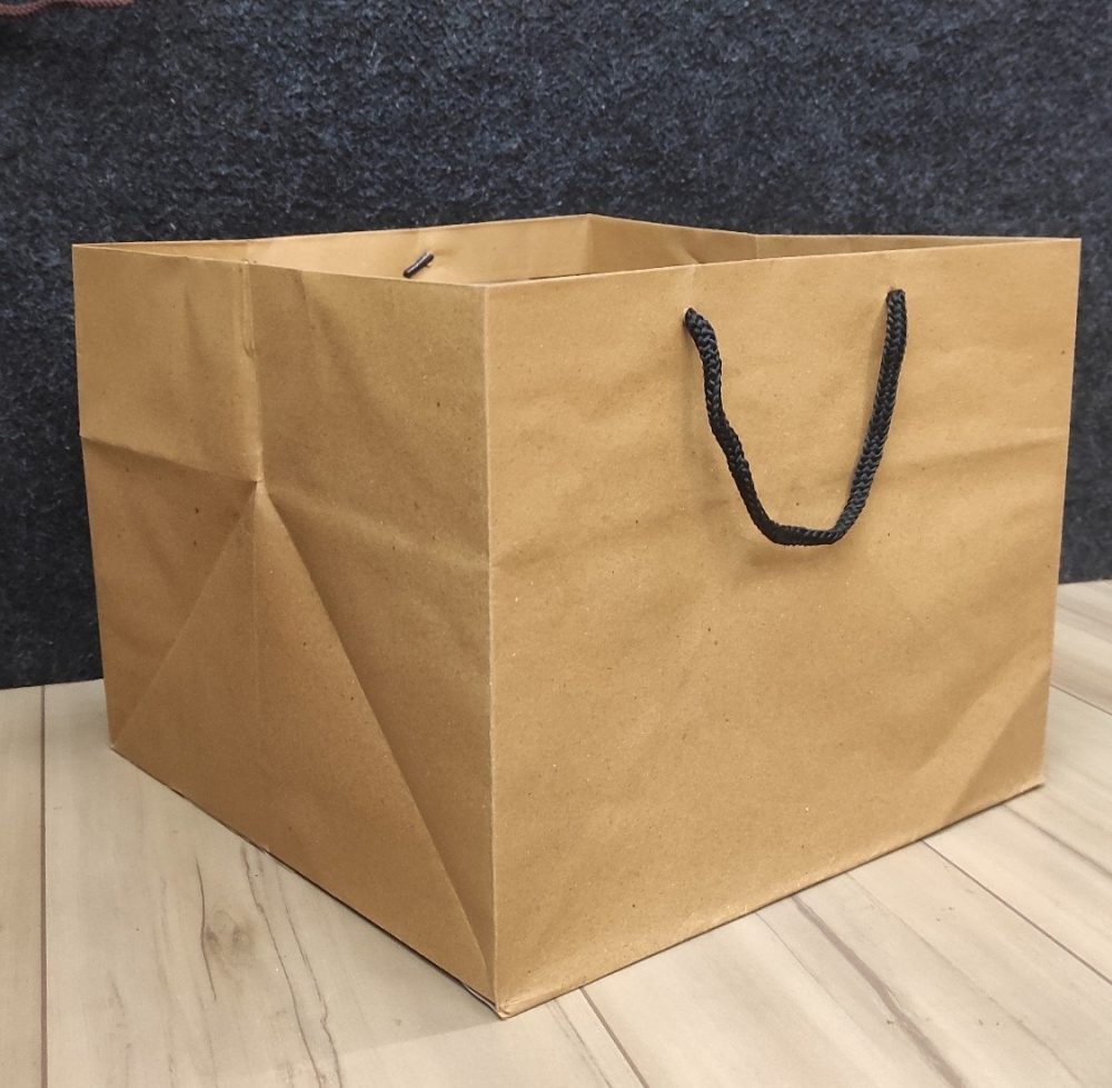 11x11x11 inch Paper Bag for 10 inch Cake Boxes