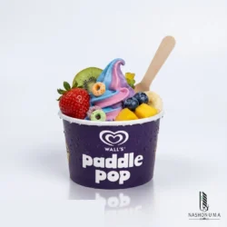 80ml Ice Cream Cup in Pakistan