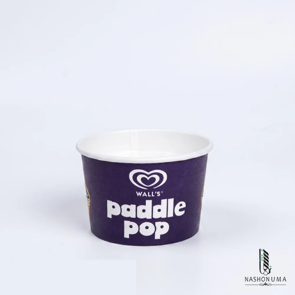 80ml Ice Cream Cup in Pakistan