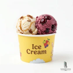 100ml Ice Cream Cup in Pakistan