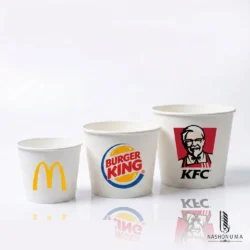 KFC Fried Chicken Bucket in Pakistan