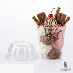 Disposable Ice-Cream Cup in Pakistan