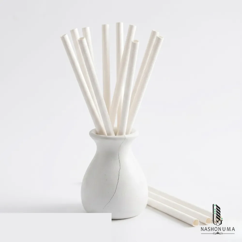 6mm Paper Straws in Pakistan